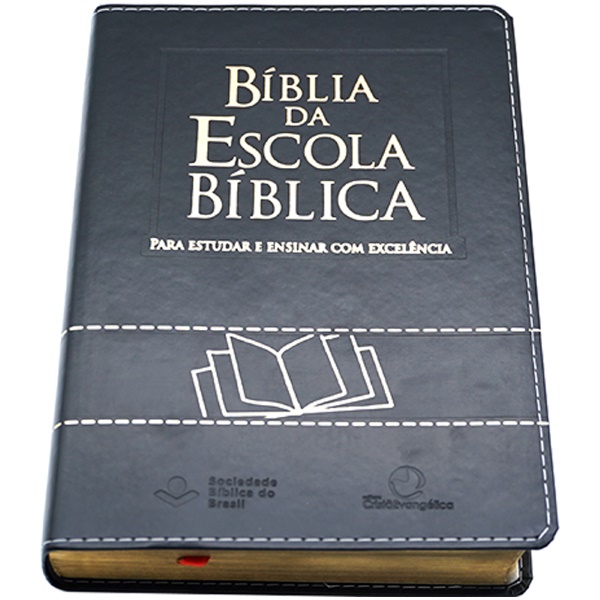 BÍBLIA DA ESCOLA DOMINICAL PRETA - NAA